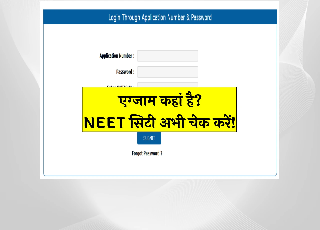 NEET UG Exam City 2025