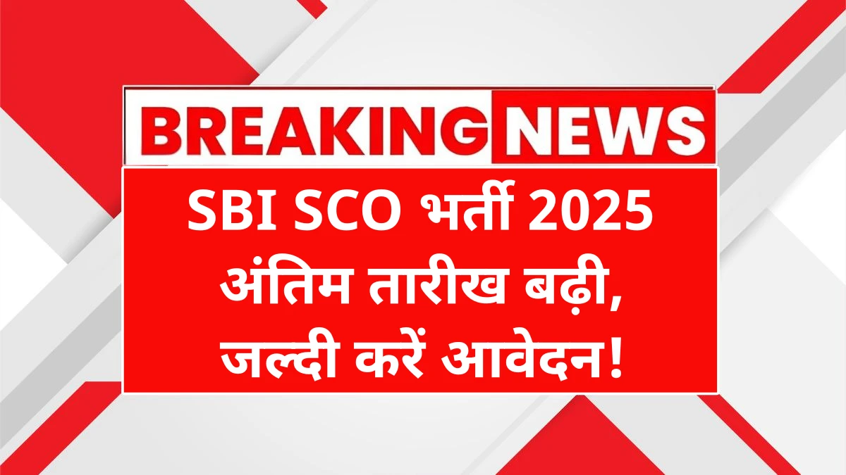 SBI SCO Recruitment 2025