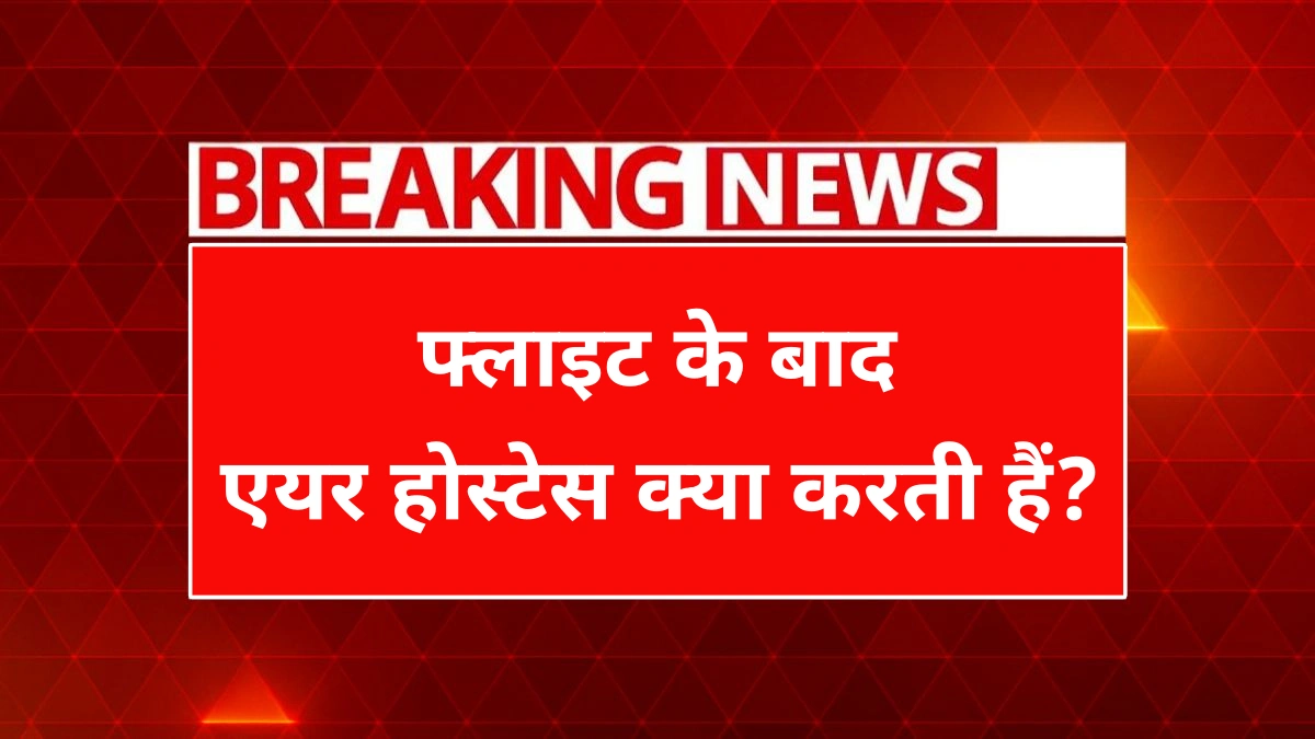 Air Hostess Post Flight Routine 2025